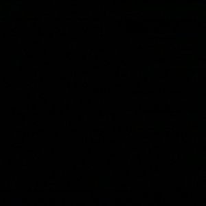 Meet your Posher, Joey